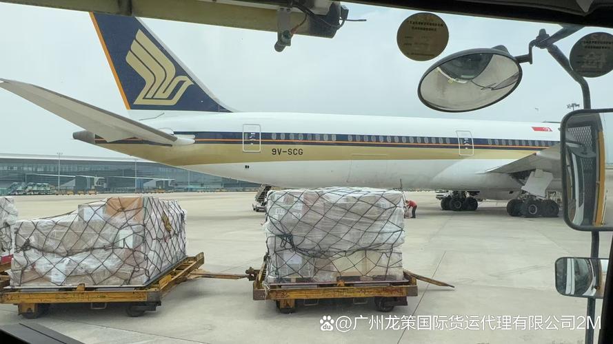石嘴山清关代理公司避坑指南：2026年正规机构选择与费用解析