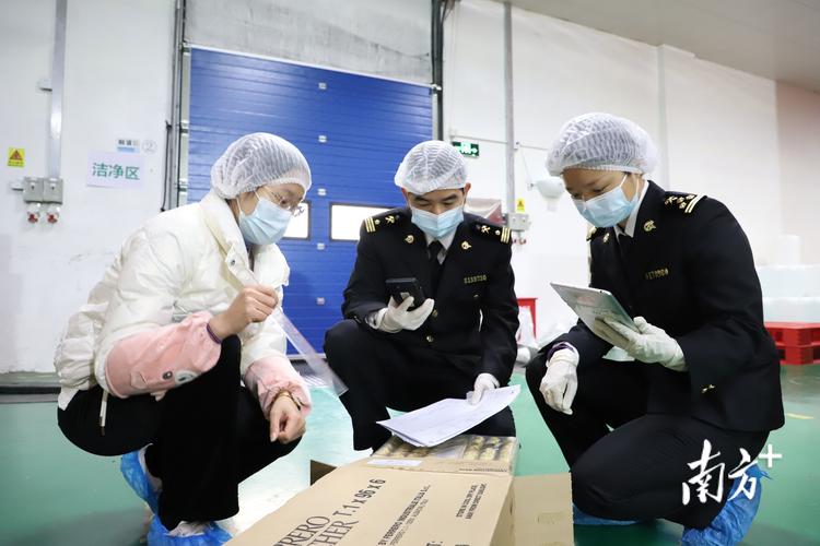 河源清关代理公司专业度评估指南:资质核查与合规服务全解析