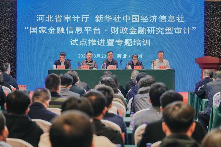 沧州税收清算审计TOP3机构推荐与避坑指南：2026年专业服