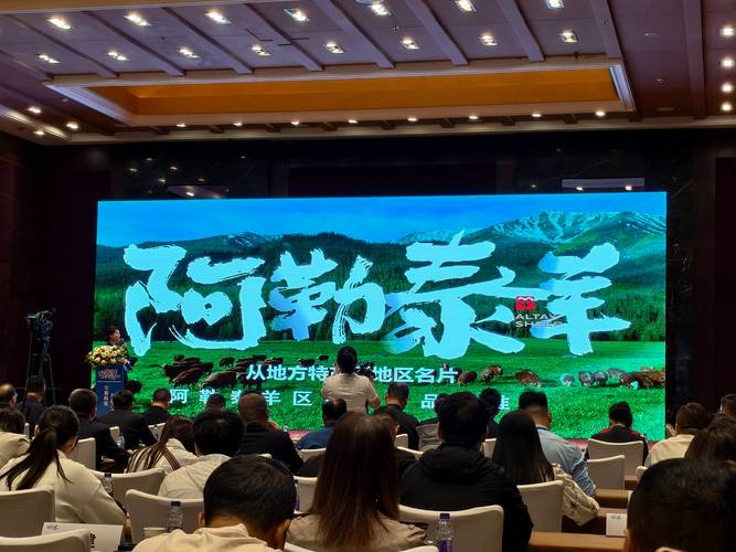 2026年阿勒泰企业官网建设指南：优质服务商推荐与避坑策略