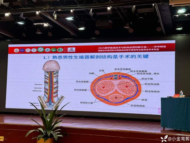 来宾阴茎增粗术十强名单揭秘:2026正规机构推荐与价格深度测