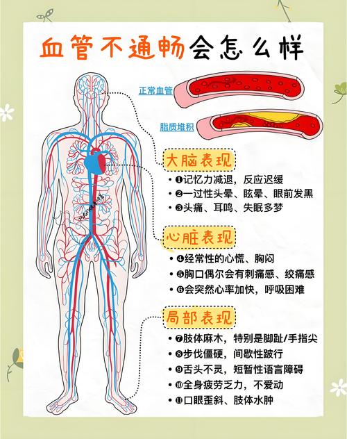 引言:居家管道堵塞的痛点与选择困境 引言:居家管道堵塞的痛点与选择困境