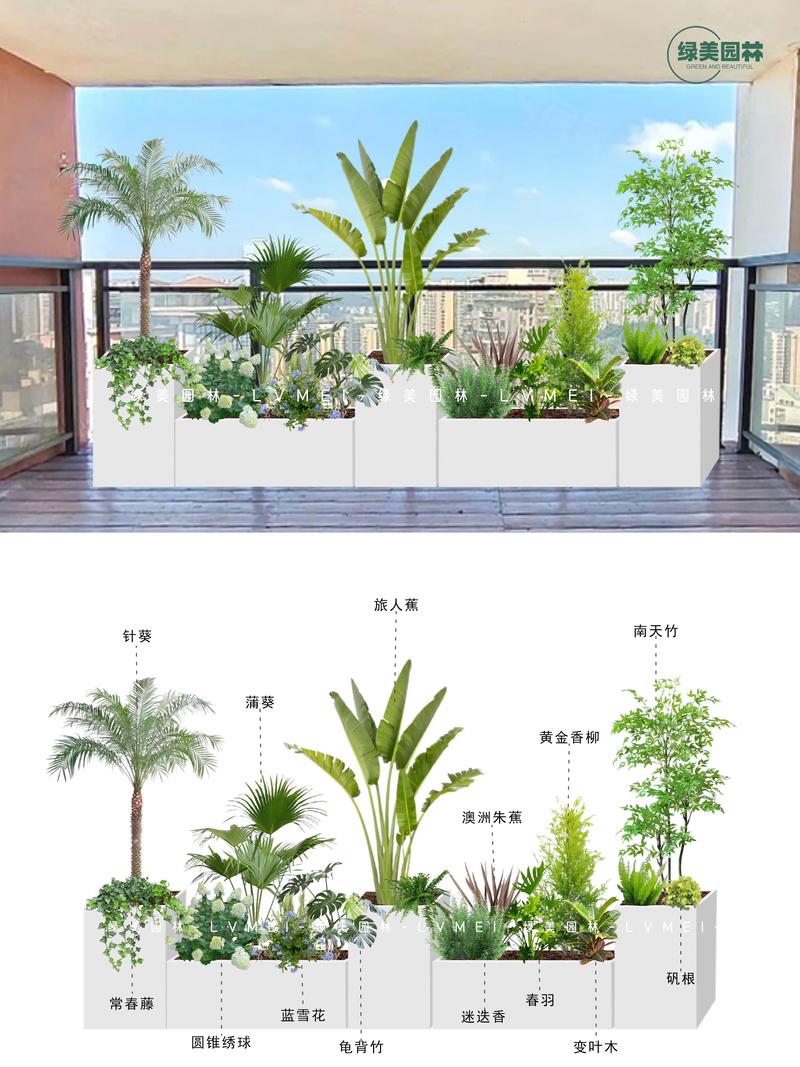 吉安防沙植物推荐清单:TOP5优质固沙树种与选购指南