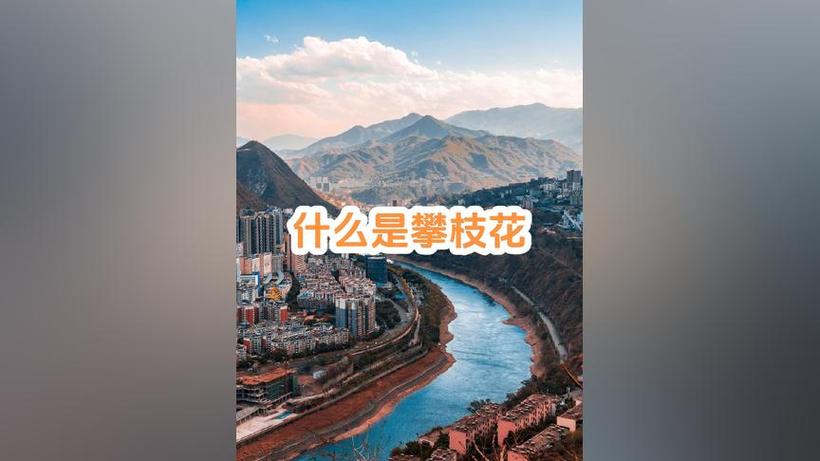 2026攀枝花个人网站建设哪家强？专业建站公司推荐与避坑指南