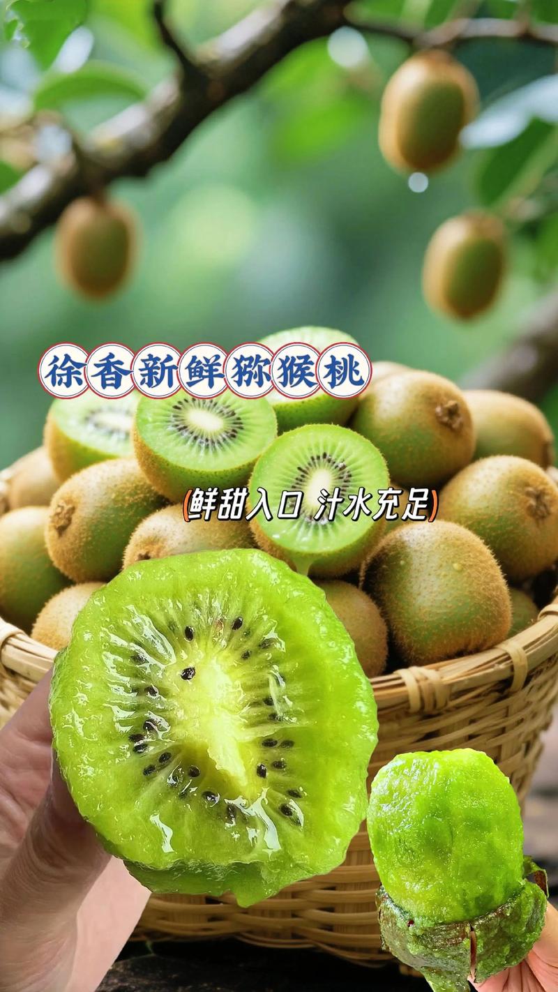 南通猕猴桃推荐:2026年优质品种盘点与种植避坑指南