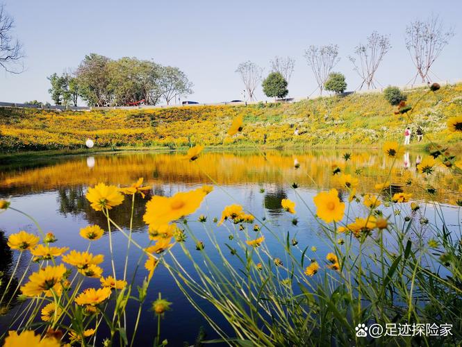 2026银川花境5强推荐:从沙生植物到水生生态,专业避坑指南