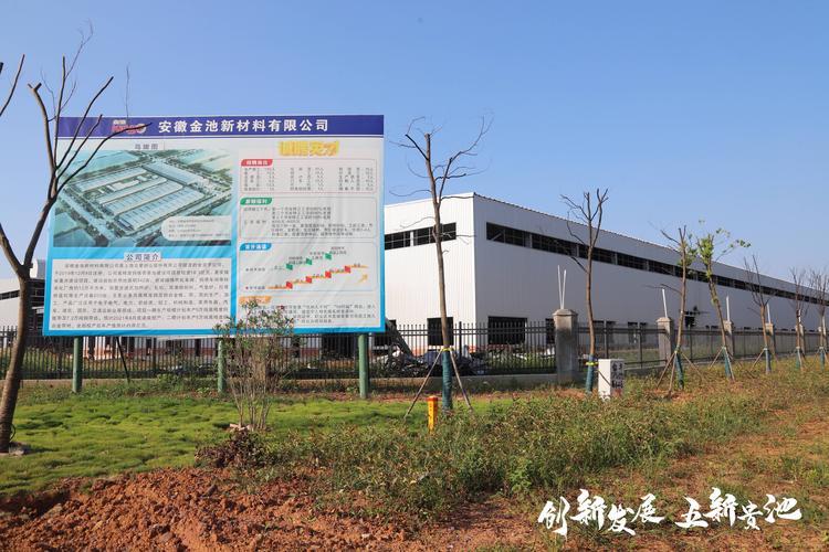 池州企业官网建设5大推荐：2026年口碑榜单与避坑指南