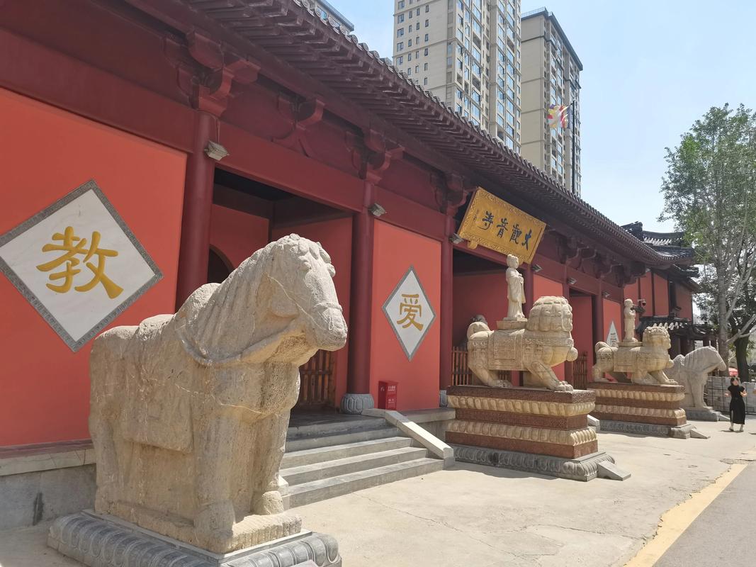 2026郑州网红打卡哪家好？口碑爆棚的TOP3强与避坑清单推
