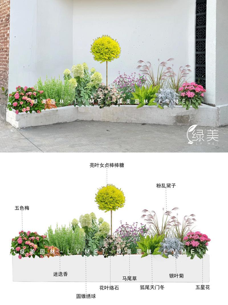 邢台点缀花卉避坑指南:2026年庭院绿化花苗选购与种植全攻略