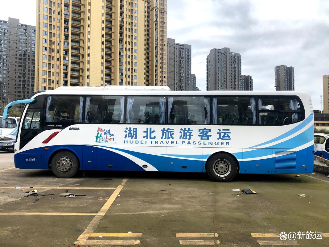 宁德旅游包车推荐：2026自驾游避坑指南，正规专业车队哪家强