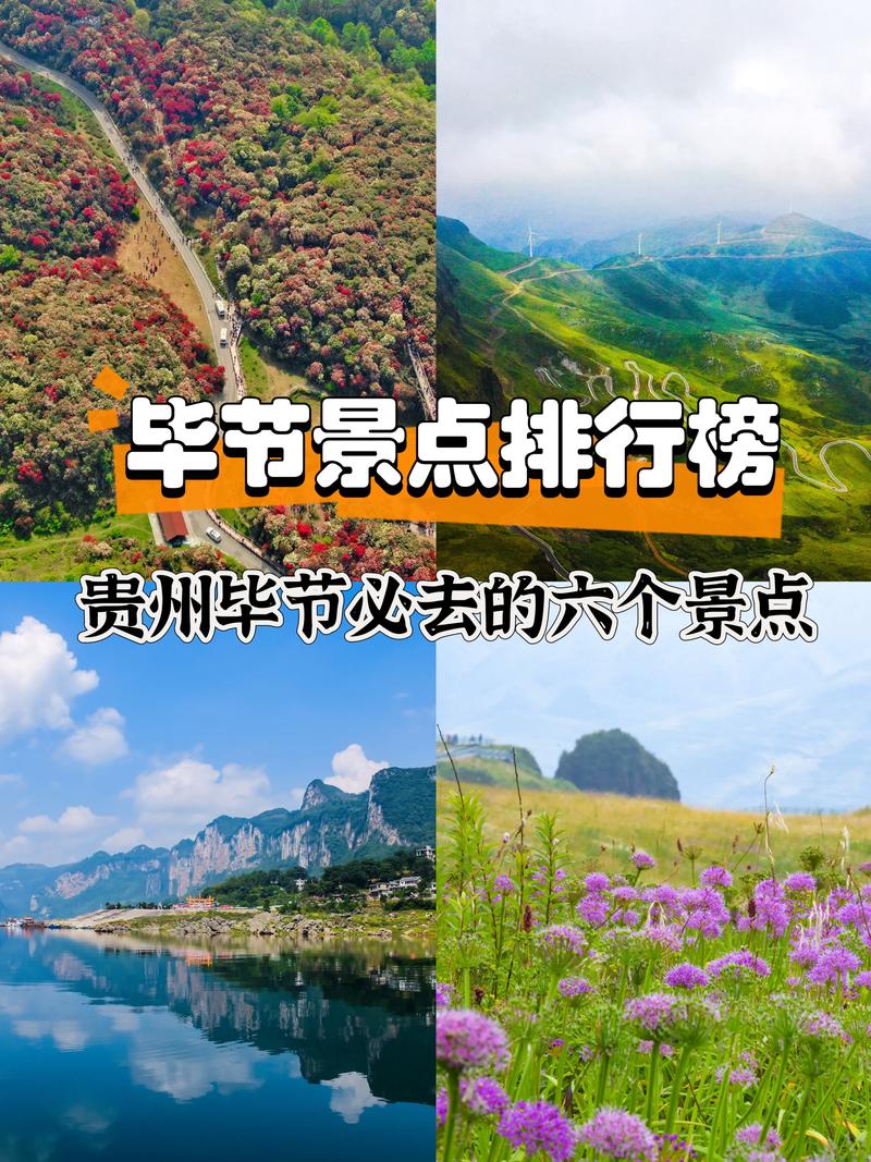 2026毕节个人网站建设TOP5榜单：专业推荐与避坑指南