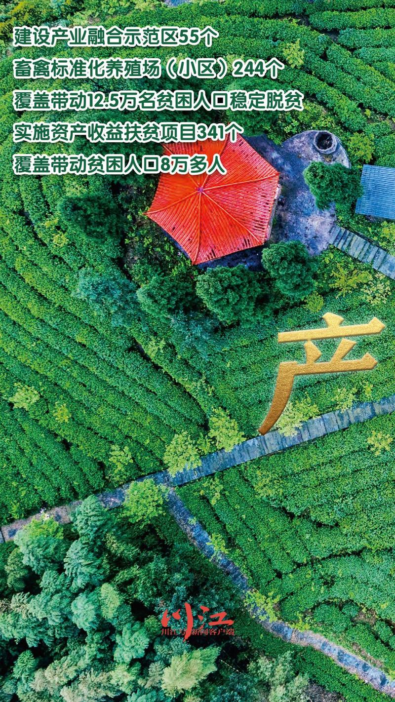 泸州个人网站建设全攻略：2026年5大正规服务商推荐与避坑指