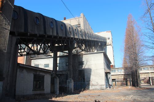 2026年丹东企业官网建设哪家好?2026年丹东企业网站建设