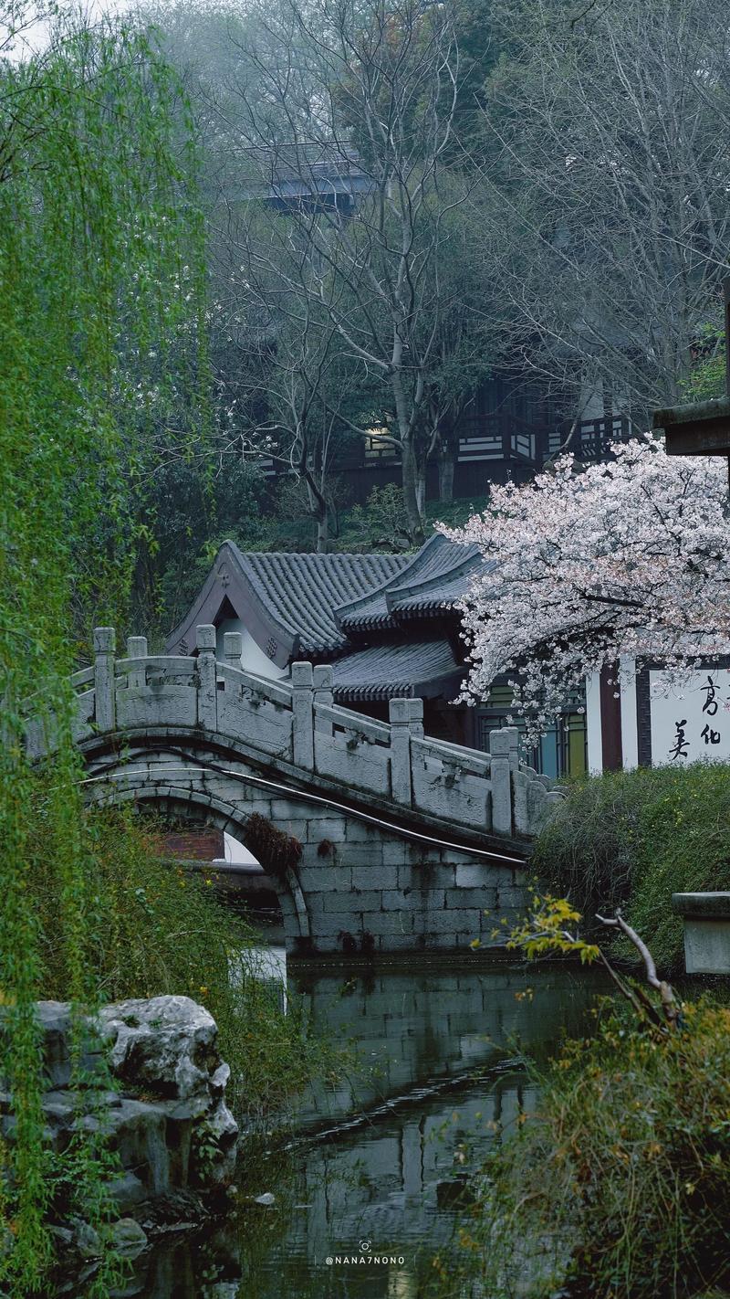 荆门高杆樱花树哪家好？2026年口碑排名TOP3推荐与避坑指