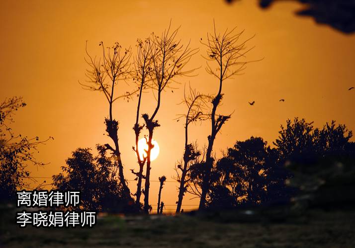 2026防城港婚姻家庭纠纷律师避坑指南：专业律师怎么选，正规