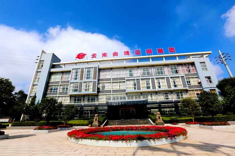 曲靖企业官网盘点2026：正规建站商推荐、价格及避坑指南
