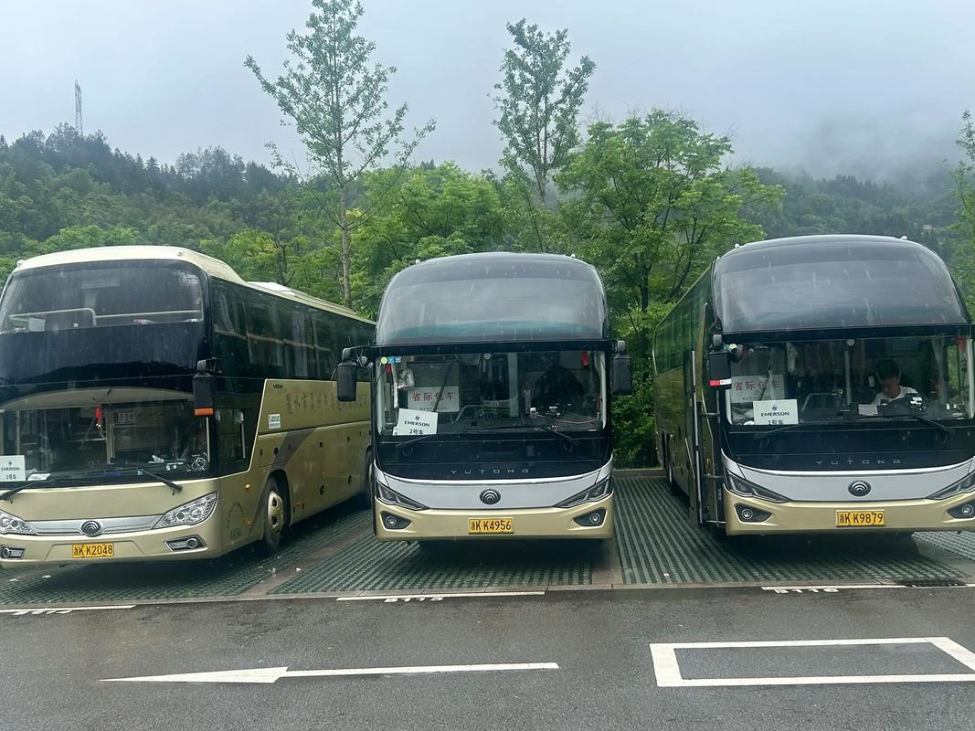 2026丽水旅游包车十强推荐：正规租车公司榜单与避坑指南