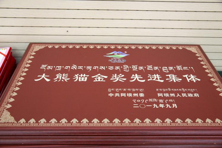 2026年阿坝个人网站推荐清单：TOP5专业建站公司口碑与费