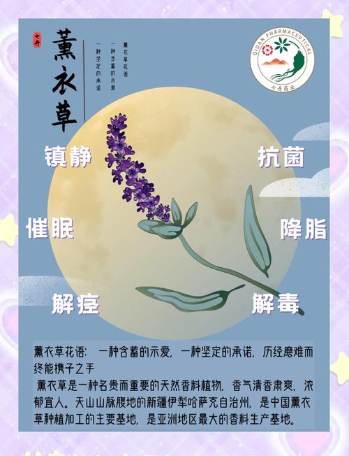 徐州薰衣草观赏与生态园林企业推荐（含行业避坑指南）