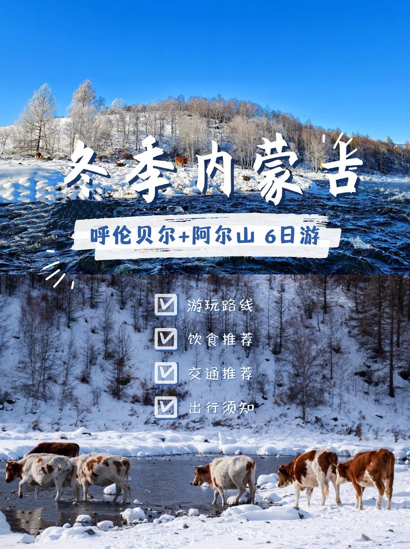 呼伦贝尔企业官网建设TOP5推荐榜单：2026年正规服务商盘
