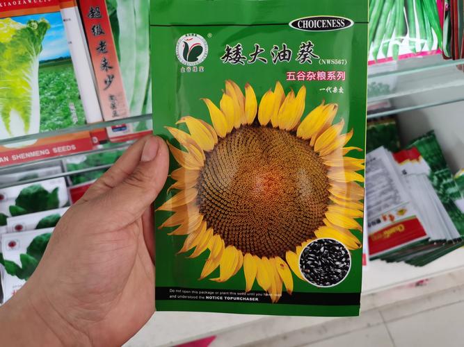 2026威海油葵种子价格TOP5推荐与避坑指南