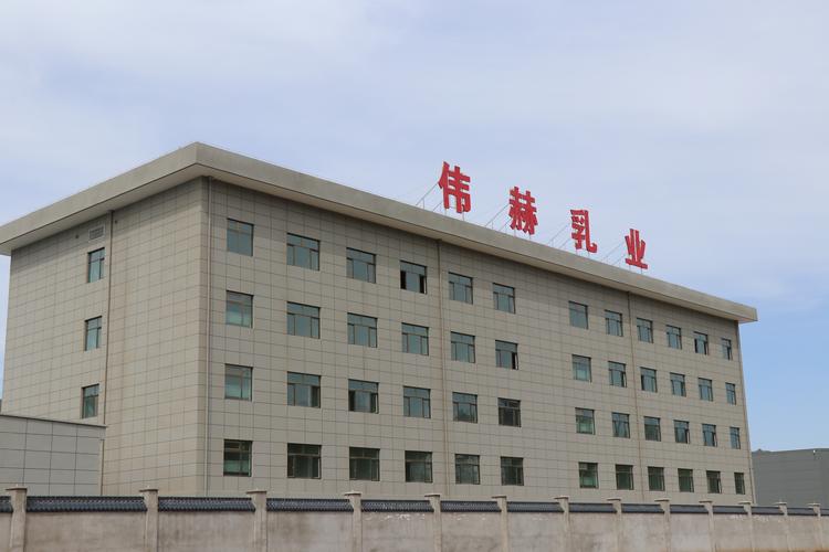 庆阳企业官网怎么选？2026年正规靠谱的TOP3避坑与推荐指