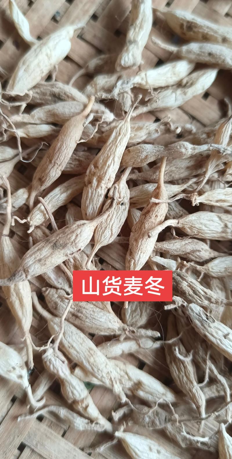 2026遂宁麦冬草种植与采购全指南：前5名品种及价格分析