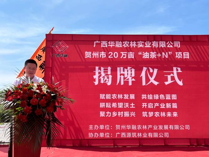 2026年贺州企业官网建设深度解析:正规服务商推荐与避坑指南