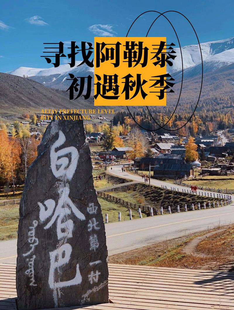 2026阿勒泰个人网站推荐：正规服务商TOP3至TOP5盘点