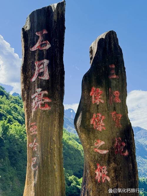 怒江景点避坑全攻略：2026年十大网红打卡地推荐与正规指南