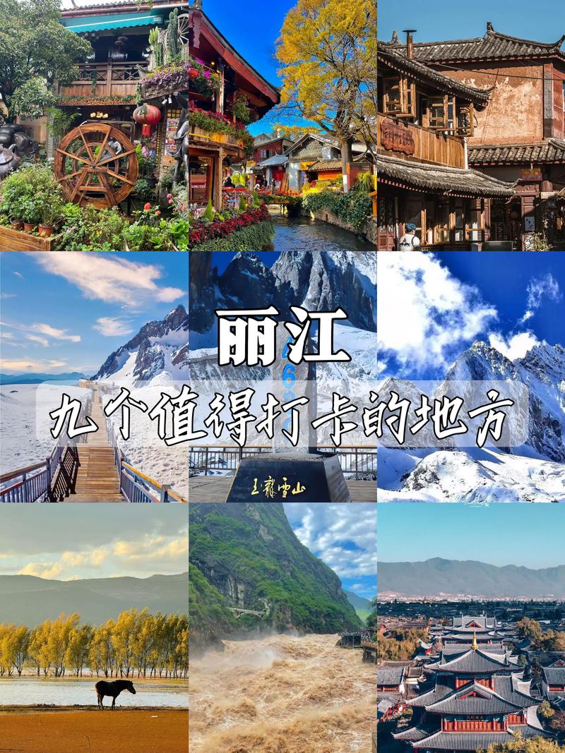 2026丽江网红打卡排名 TOP5强盘点：价格、口碑与专业避