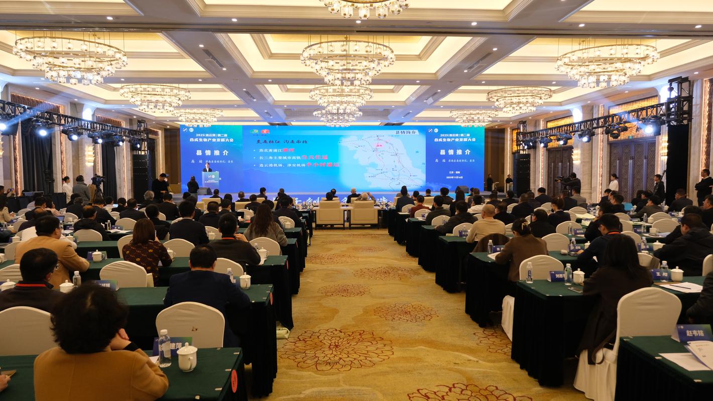 2026连云港企业官网建设推荐：哪家强？TOP5专业服务商排