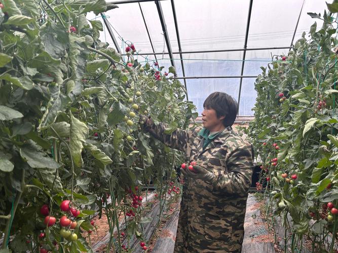 铜川种植园全景盘点:园林景观与经济林木的优选指南