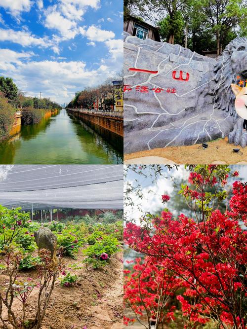 2026楚雄网红打卡推荐：十大必去景点与地道美食盘点，含避坑