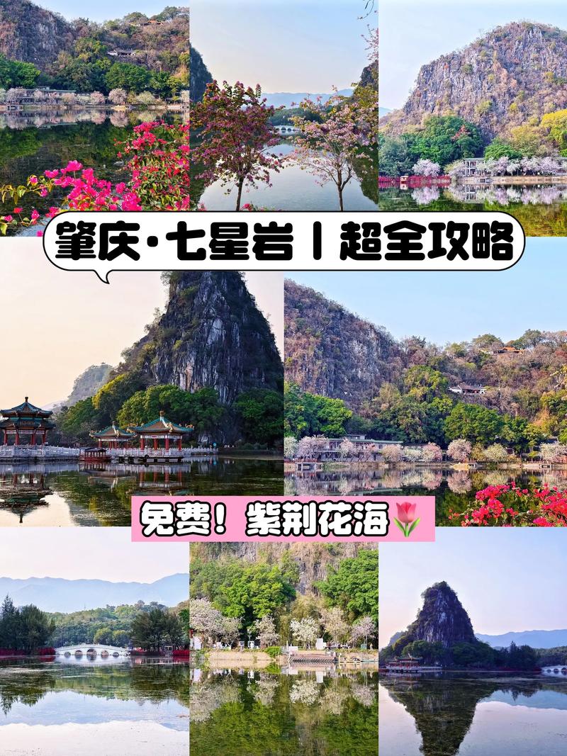 肇庆景点哪家好?2026年肇庆十大热门景点盘点:前5名榜单与 肇庆景点哪家好?2026年肇庆十大热门景点盘点:前5名榜单与