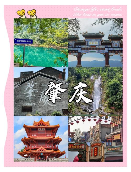 肇庆景点哪家好?2026年肇庆十大热门景点盘点:前5名榜单与 肇庆景点哪家好?2026年肇庆十大热门景点盘点:前5名榜单与