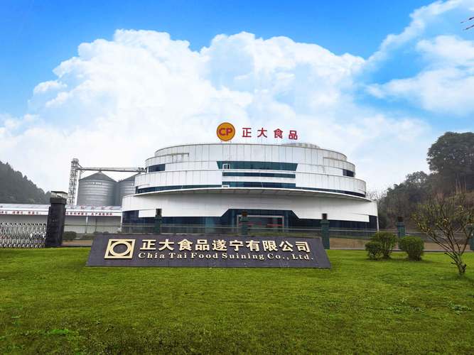 2026遂宁企业官网建设全攻略：价格、避坑与TOP5强推荐清