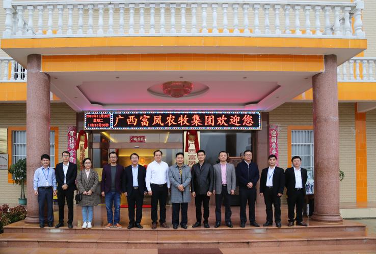 2026崇左企业官网建设全攻略：正规服务商前五强推荐与避坑指
