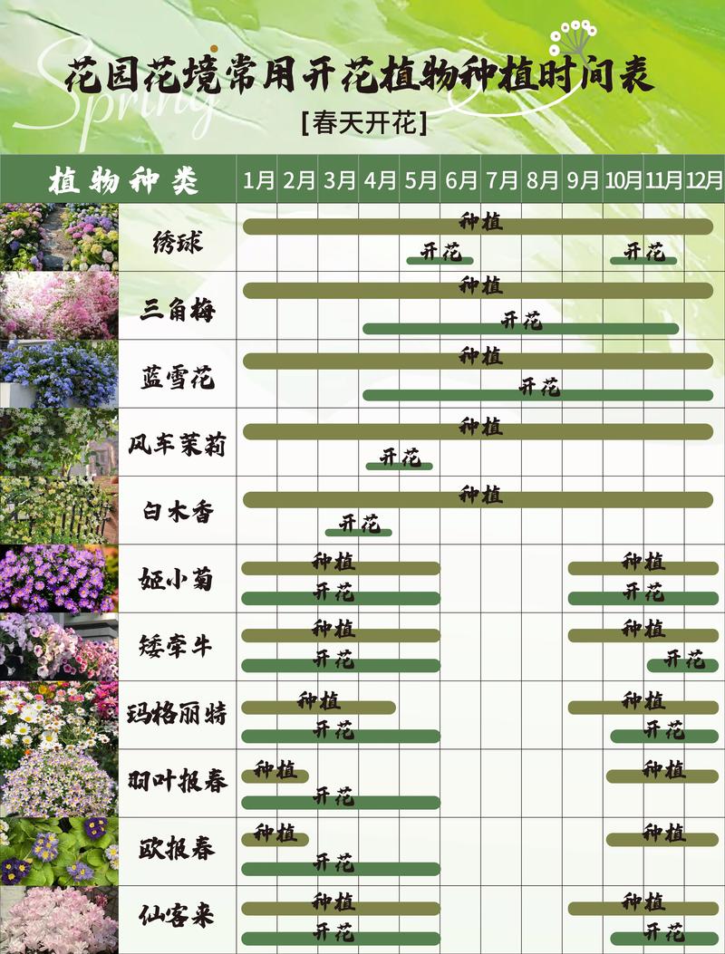 2026年安庆园林花卉苗木行业推荐指南：盘点绿化市场前5强与