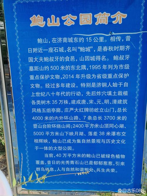2026济南个人网站建设避坑指南与正规服务商推荐清单