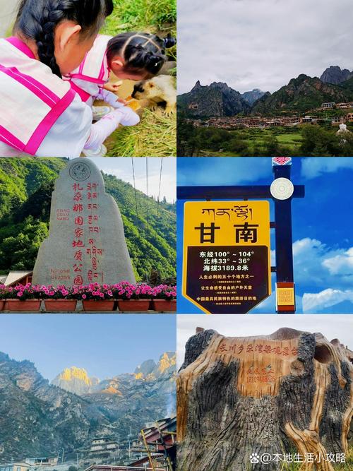 2026年甘南保姆前5名推荐:价格、口碑与正规性全方位盘点