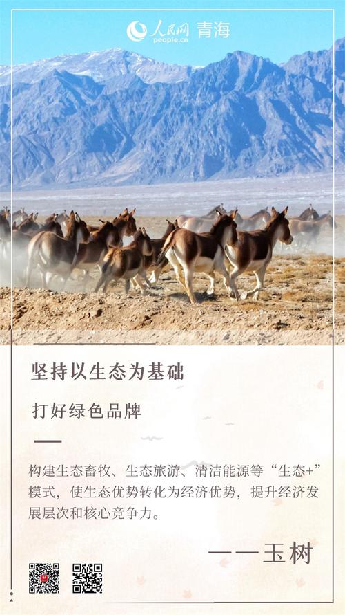 2026玉树个人网站建设推荐:前5名正规服务商口碑与价格盘点