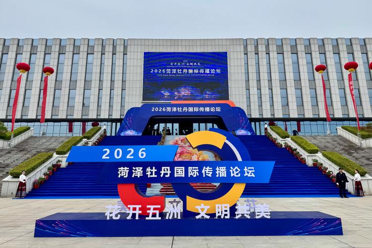2026菏泽企业官网建设推荐：TOP5名单与避坑指南