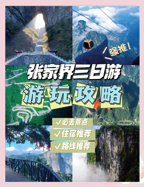 张家界个人网站排名：2026年正规平台推荐与避坑指南
