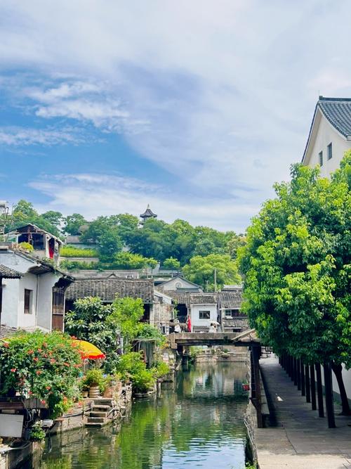 2026绍兴个人网站建设避坑指南:价格解析与正规服务商选择