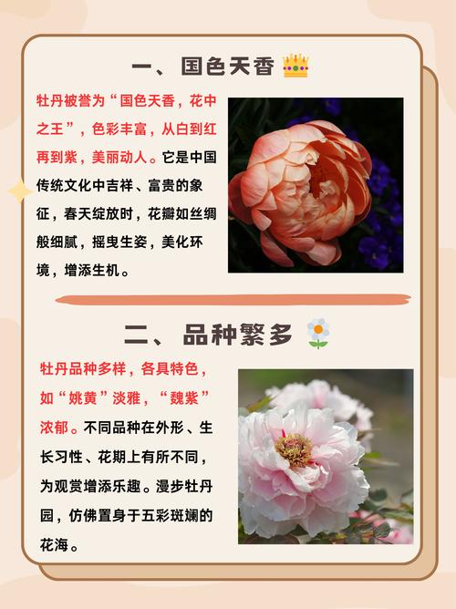 2026塔城牡丹花种植基地推荐：前5强榜单与避坑指南