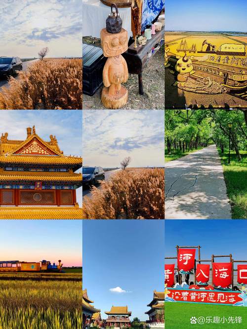 东营网红打卡前五：2026最新探店指南与避坑盘点