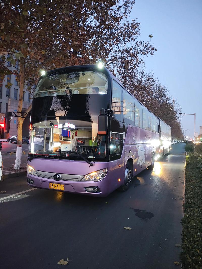 2026平顶山旅游包车专业推荐与避坑指南：正规前十强车辆排行