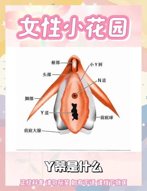 2026玉溪阴蒂整形正规医院推荐:5家具备资质的医疗机构及选