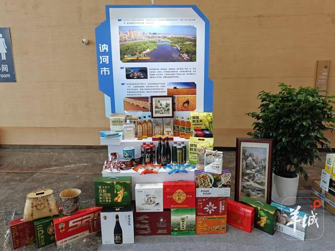 齐齐哈尔企业官网哪家强？2026年TOP5推荐与避坑指南